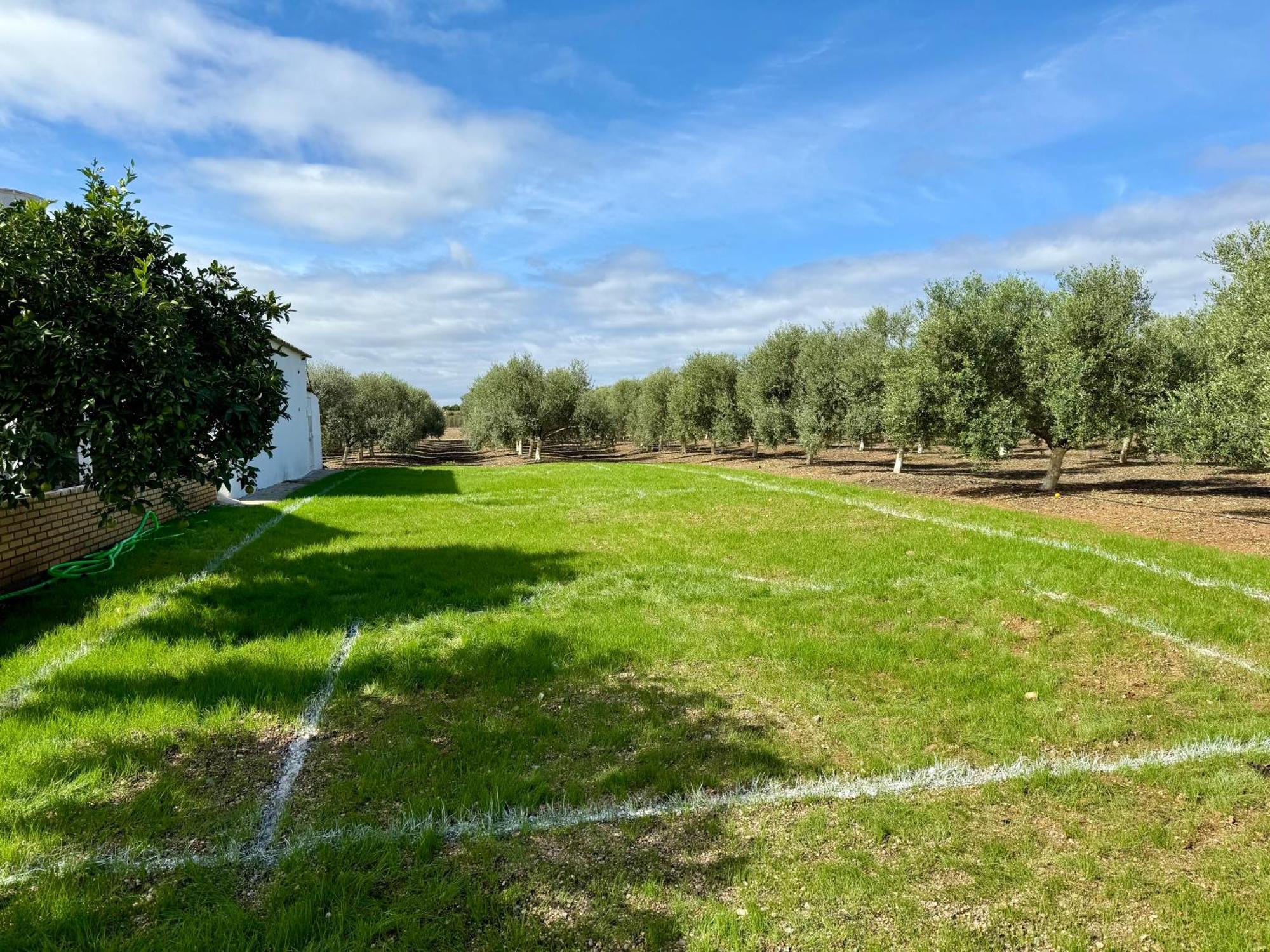 La Casa Del Flamenco Βίλα Cañada del Rabadán Εξωτερικό φωτογραφία