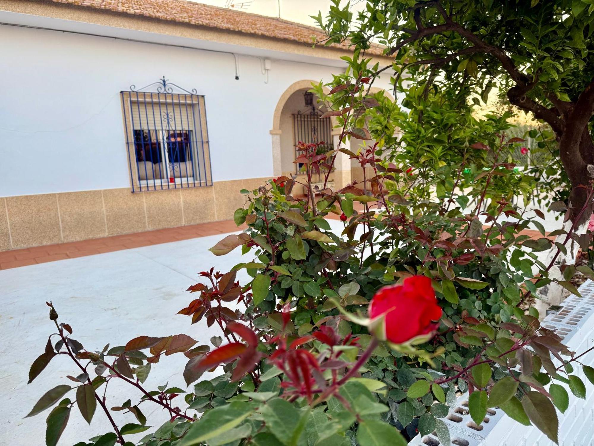 La Casa Del Flamenco Βίλα Cañada del Rabadán Εξωτερικό φωτογραφία